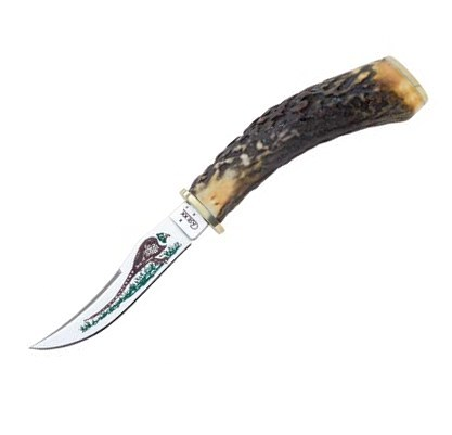 Pheasant Fixed Blade w- Stag Handle