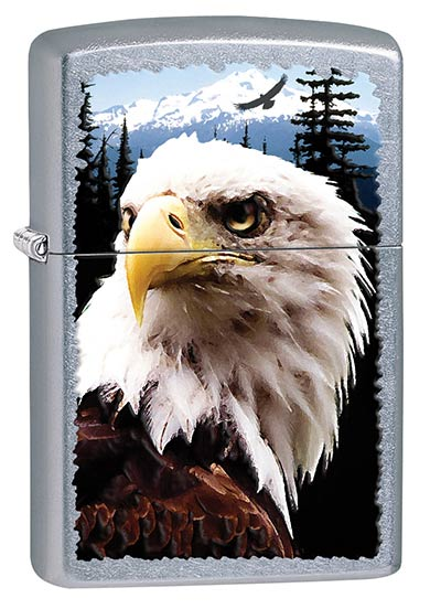 Eagle, Street Chrome Zippo