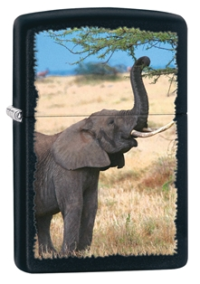 Elephant Black Matte Zippo Lighter