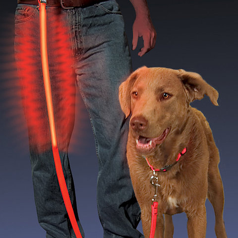 Nite Dawg Leash Red